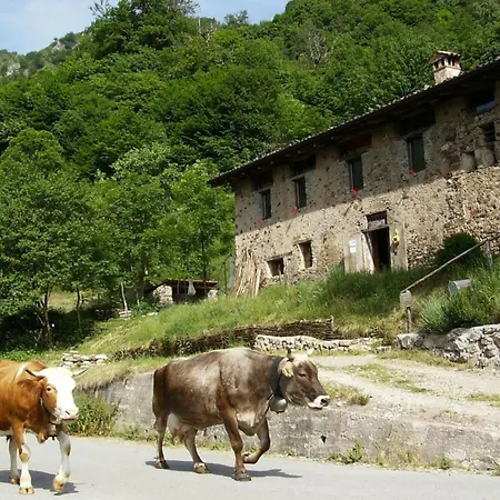 Le Fratte Sport And Relax In Hilly Area - Happy *